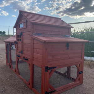 Chicken Coop for 4+ Chickens – Leghorn Cottage Chicken Coop