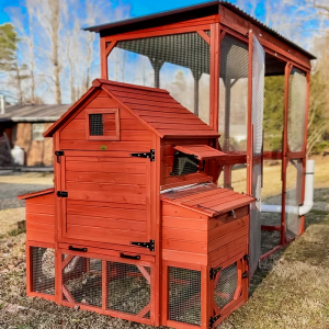 Orpington Lodge Chicken Coop with Run for 6+ Chickens