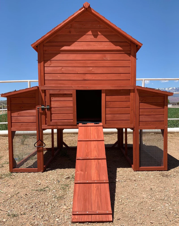 Rhode Island Homestead XL 10+ Chickens Hen House Only