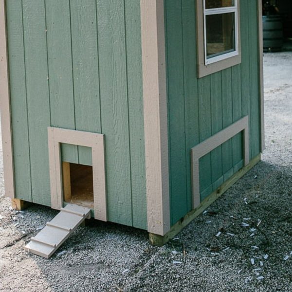 Cube Coop - 6'x4' - Image 9