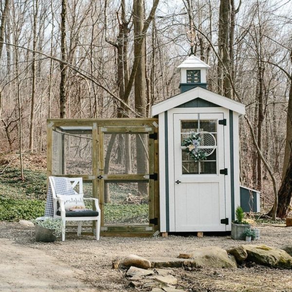 Classic Coop - 4'x6' - Image 7