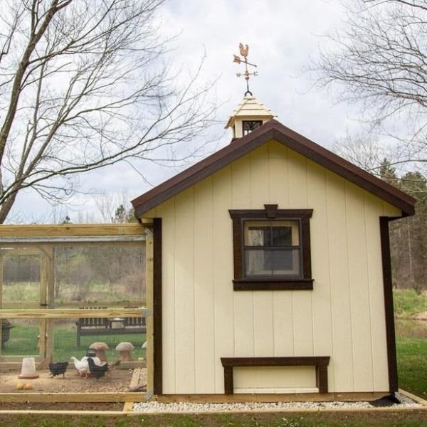 Classic Coop - 8'x8' - Image 9