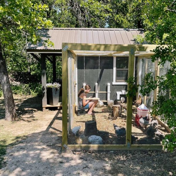 Chalet Coop - 8'x8' - Image 8