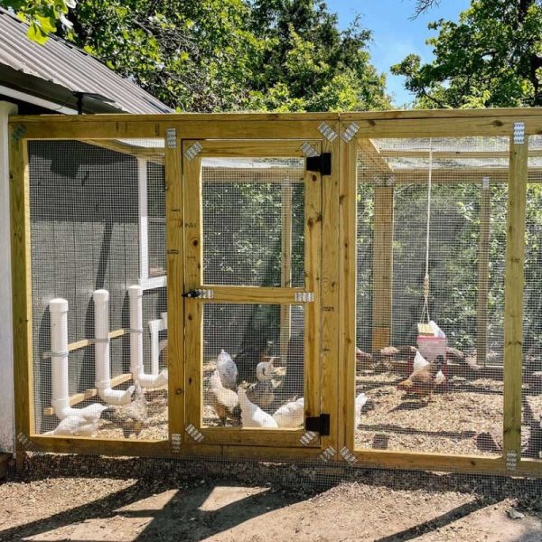 Chalet Coop - 8'x8' - Image 3
